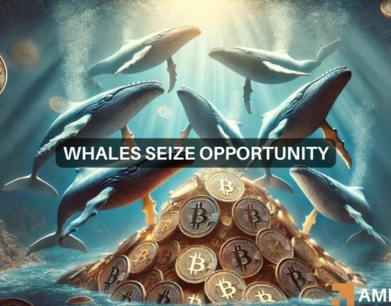 Bitcoin slides below $66k: Here's what whales are up to