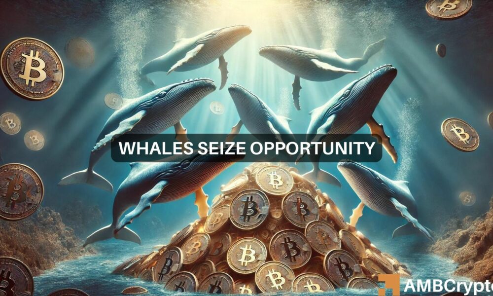 Bitcoin slides below $66k: Here's what whales are up to