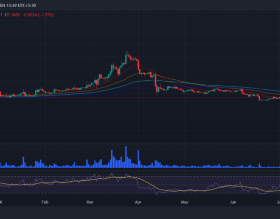 Conflux price prediction 2024-2030: Can CFX price lead China’s crypto market?