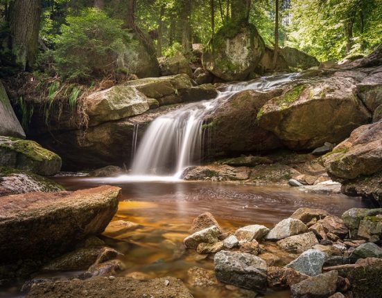 River Financial, a river in the woods