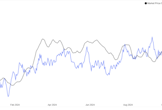 Bitcoin Hashrate