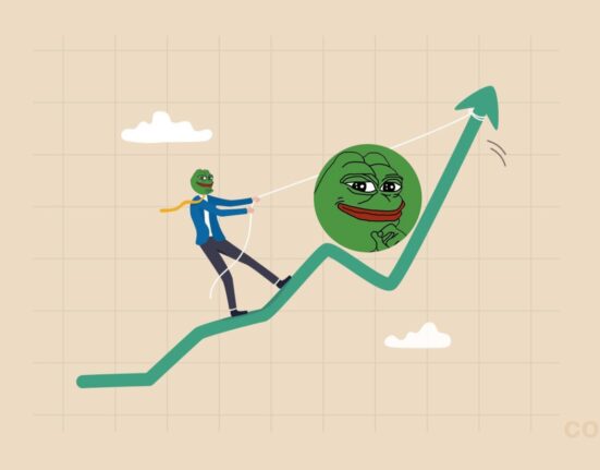 Bulls Have Been Accumulating Pepe Coin Since Early 2024