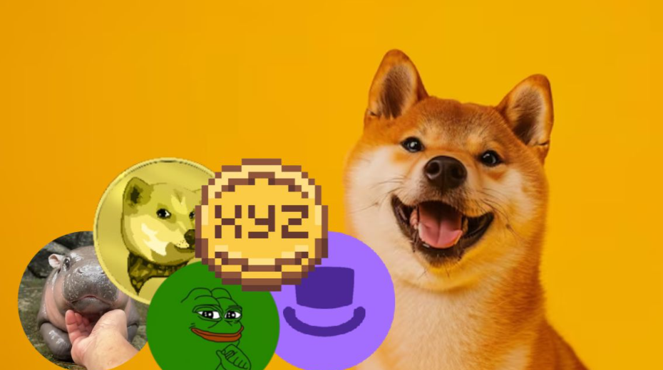 Comment on Your 2025 Crypto Picks: These 5 Coins Could Follow in Shiba Inu’s Footsteps! by Moo Deng MOODENG: Top-Quality Footwear Essentials