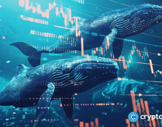 Crypto whales secretly accumulate these 4 coins for 5,000% gains