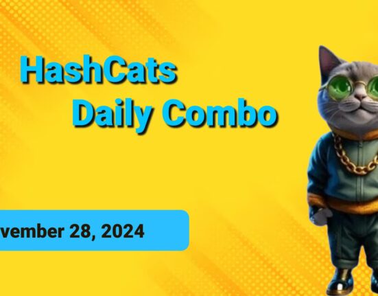 HashCats Daily Combo and Staking Cipher for November 28, 2024