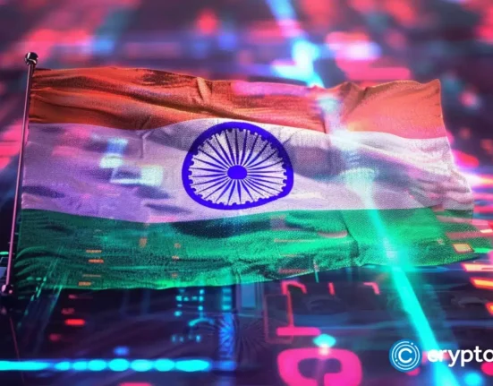 India's central bank signals no rush for digital currency implementation