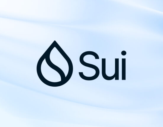 SUI Price Crashes 10% Amid Blockchain Outage