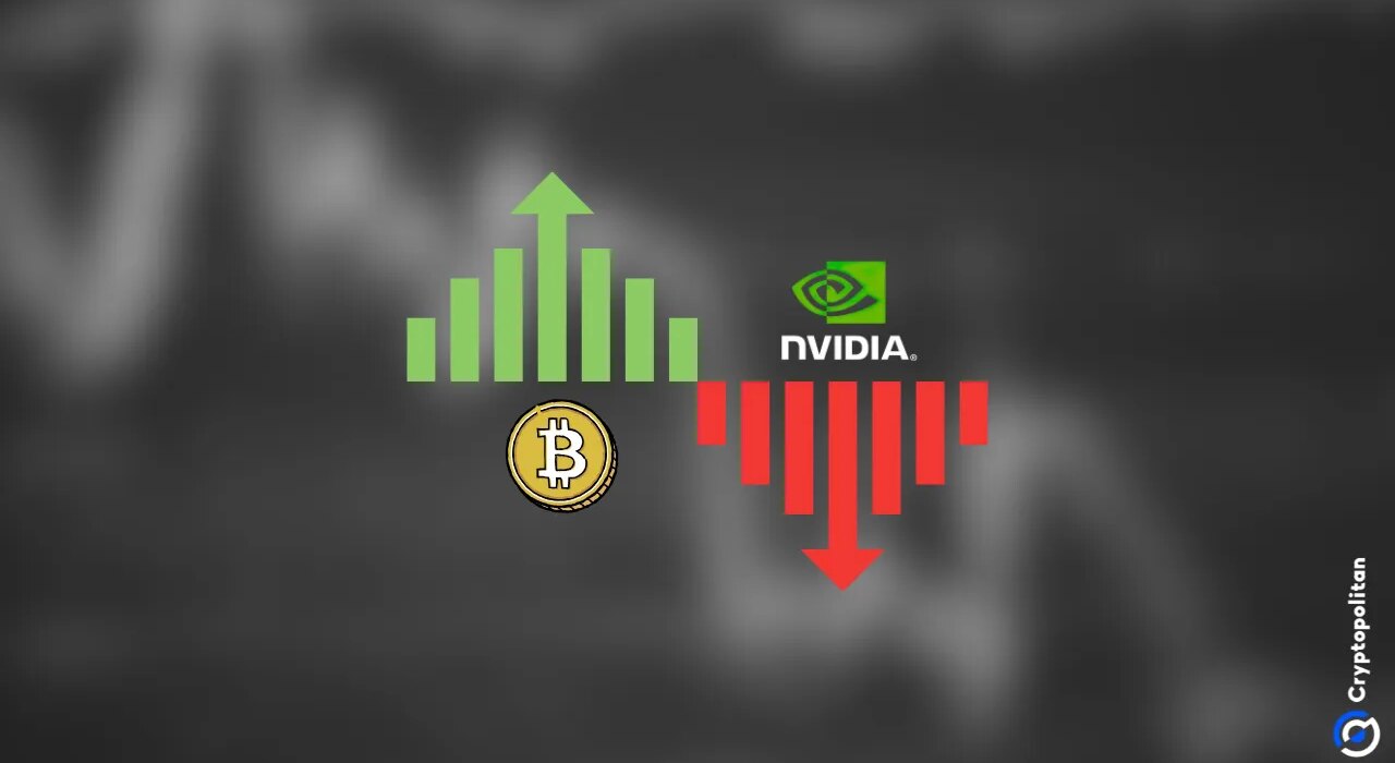 Stocks slip on disappointing Nvidia results, Bitcoin defies the trend