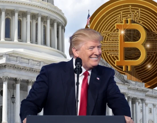 Trump picks a pro crypto government official once again