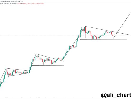 XRP Bull Pennant