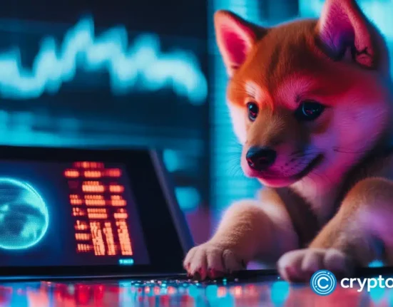 Baby Doge Coin surges over 75% following Elon Musk tweet