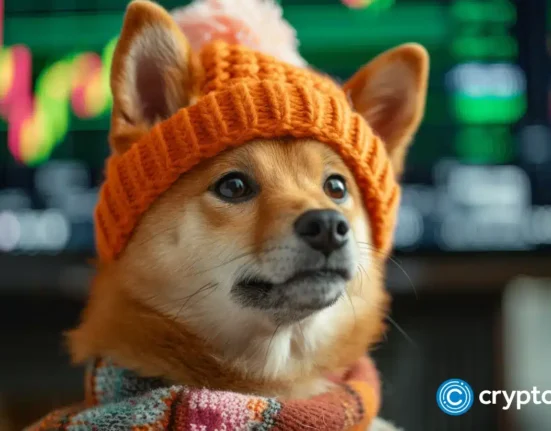 Coinbase expands Dogwifhat trading to New York