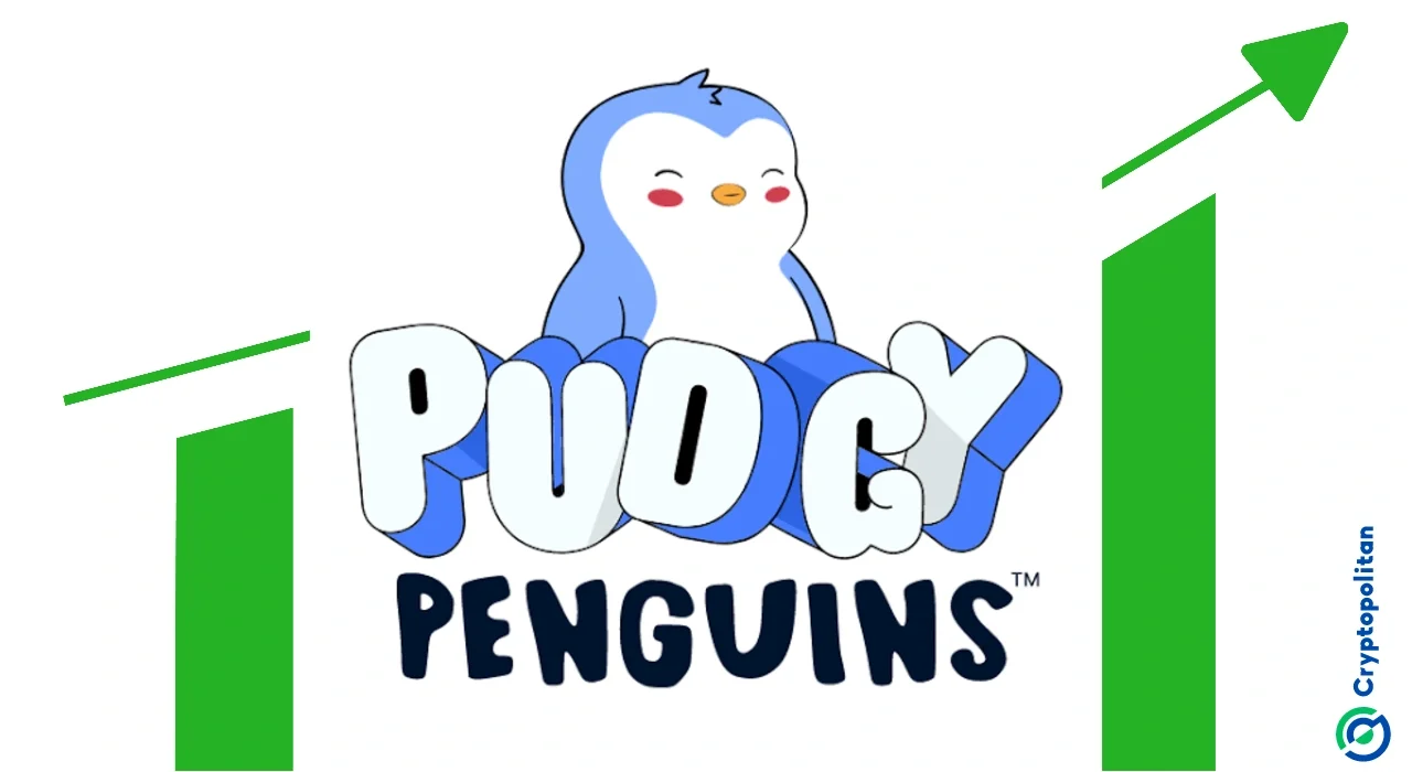 Pudgy Penguins NFT break $100k floor price, surpassing Bitcoin in value