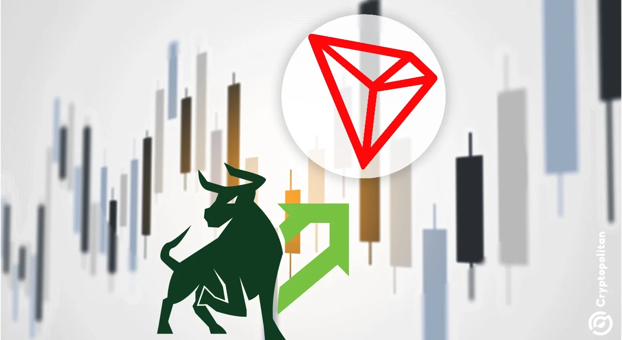 TRON (TRX) hits all-time high above $0.24 as hype rolls over from XRP