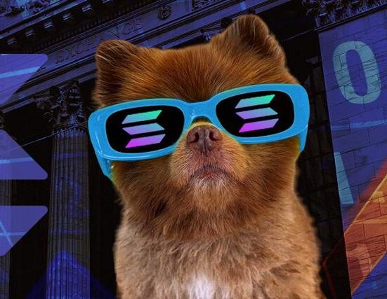 The $BERT Revolution: A Dog’s Journey to Crypto Stardom and a Worldwide Movement