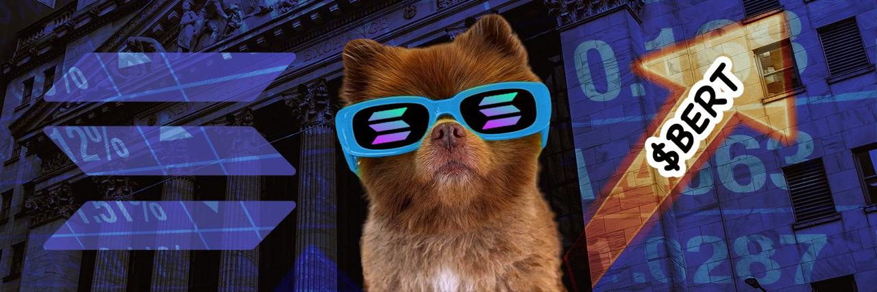 The $BERT Revolution: A Dog’s Journey to Crypto Stardom and a Worldwide Movement