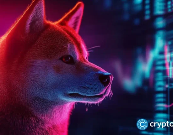 This DOGE alternative is set to turn $800 into $80000