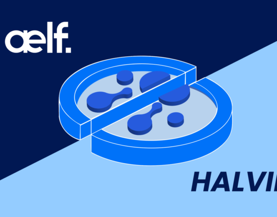 aelf First Halving Event: A Milestone in Sustainable Blockchain Growth