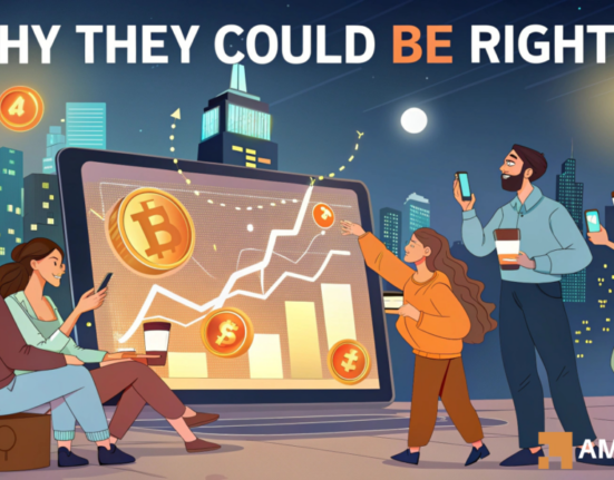 Bitcoin retail investors taking excessive risk - Why they could be right?