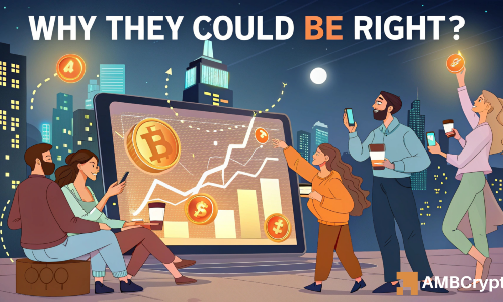 Bitcoin retail investors taking excessive risk - Why they could be right?