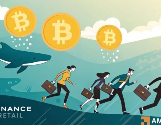 Bitcoin's retail investors deposits on Binance outpaces whales