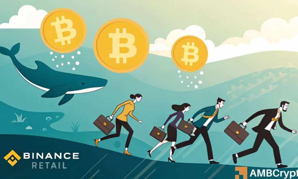 Bitcoin's retail investors deposits on Binance outpaces whales