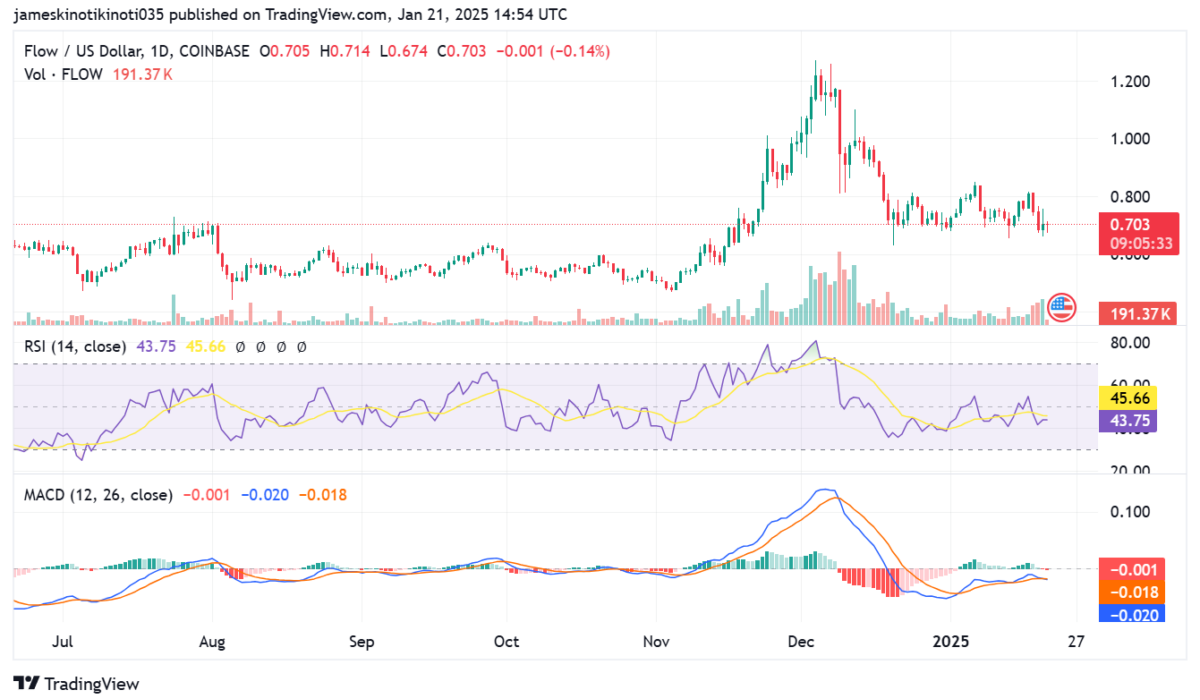 Flow coin 1-day price analysis