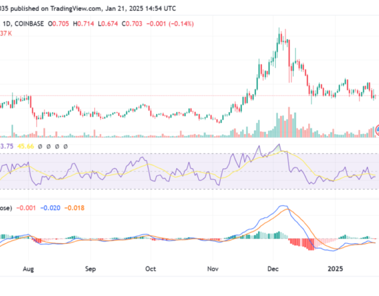 Flow coin 1-day price analysis