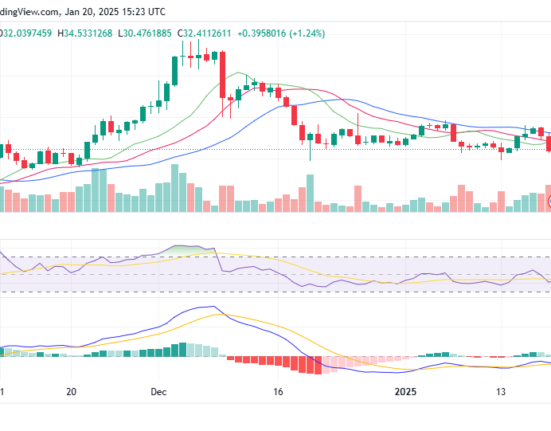 EGLD/USD price chart. Image source: TradingView