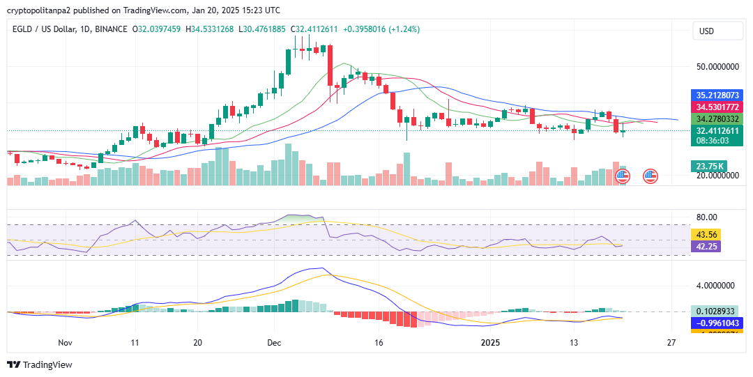 EGLD/USD price chart. Image source: TradingView