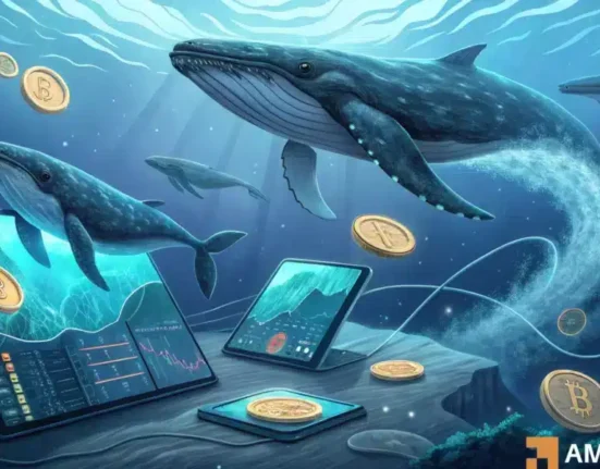 Whales buy back Bitcoin: Could this be a trap for other investors?