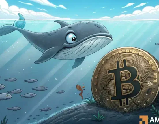 Bitcoin: As whales bet against BTC, what happens now?