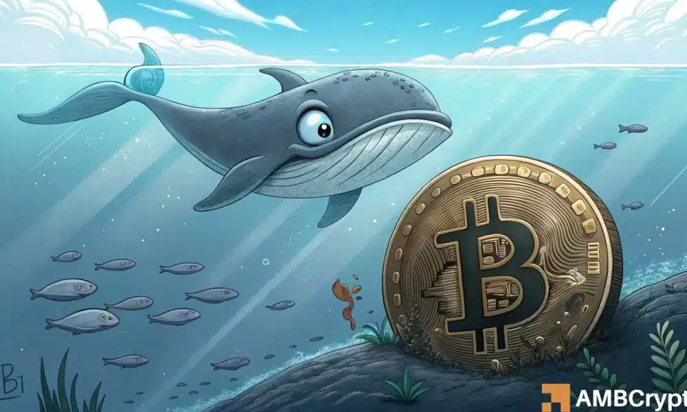 Bitcoin: As whales bet against BTC, what happens now?