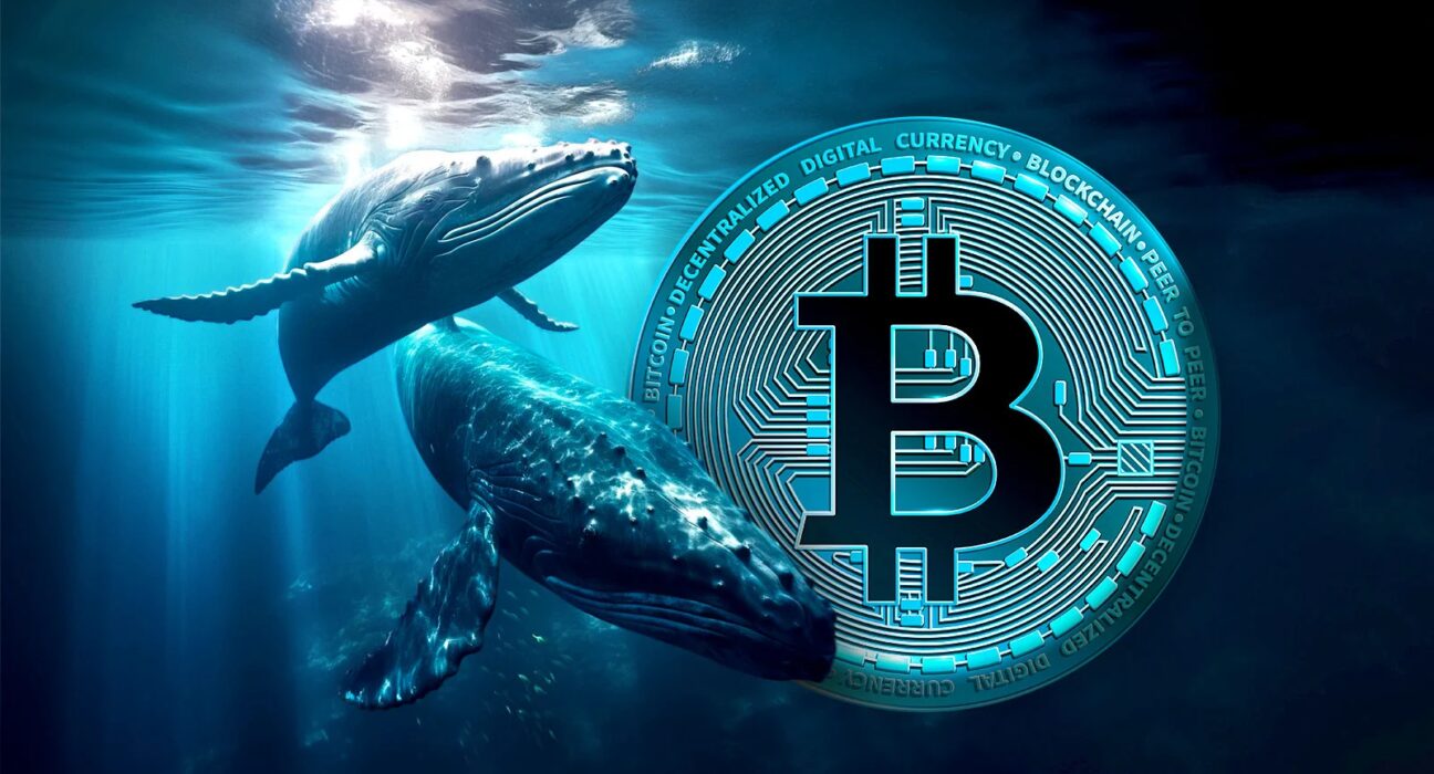 Bitcoin Whales Are Buying Big: Is a Massive BTC Surge Imminent?