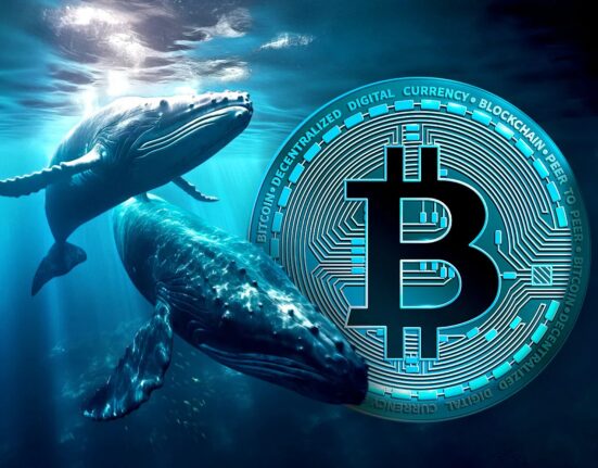 Bitcoin Whales Are Buying Big: Is a Massive BTC Surge Imminent?