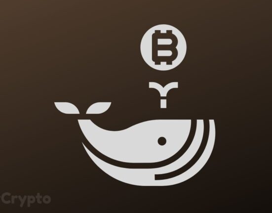 Subtle hints that indicate Elon Musk is already a Bitcoin Whale