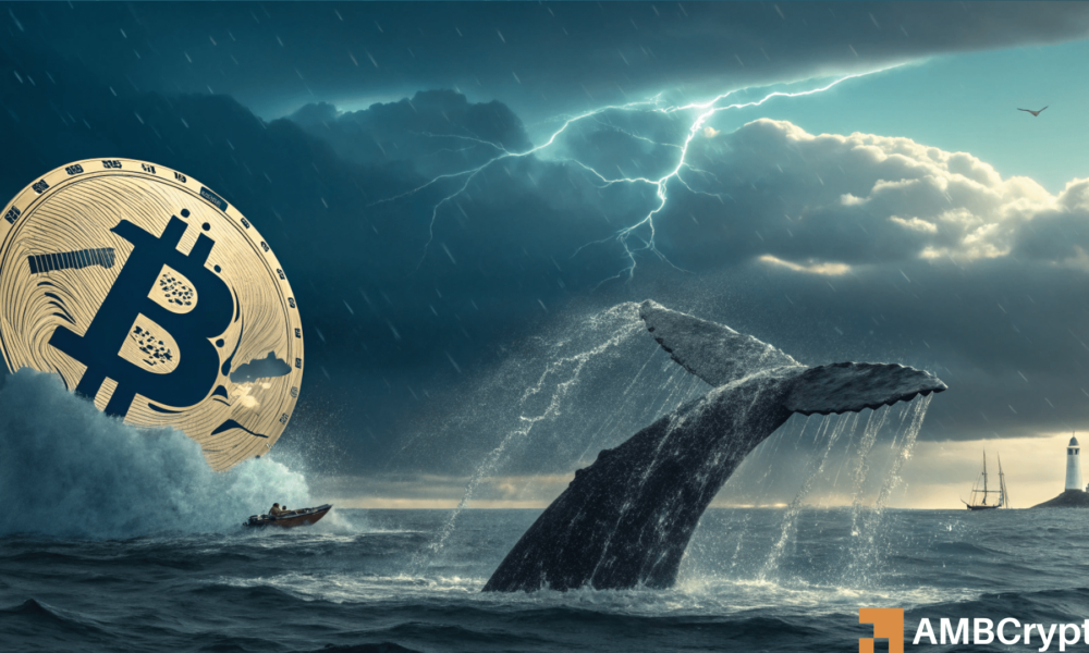 Bitcoin whales cash out $800M - What it means for BTC prices