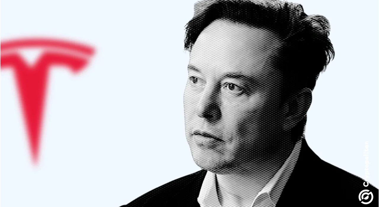 Elon Musk’s Europe meddling affects Tesla’s market