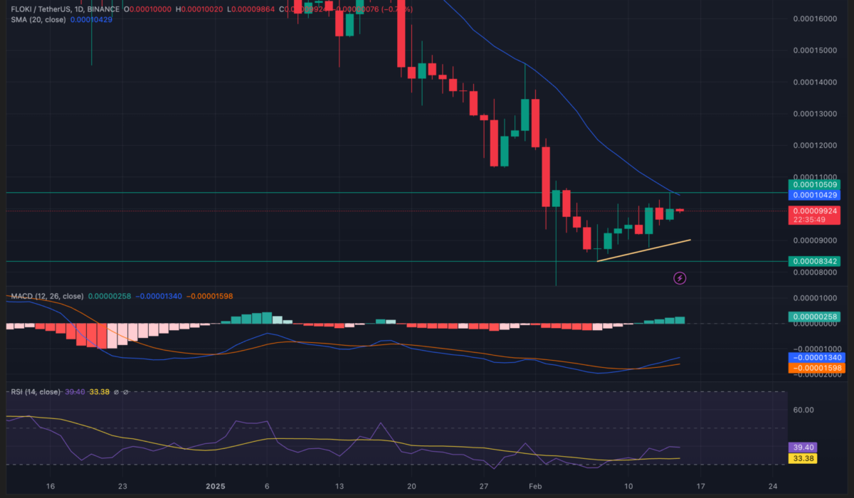 Floki Inu price analysis 1-day price chart