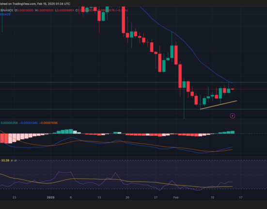 Floki Inu price analysis 1-day price chart