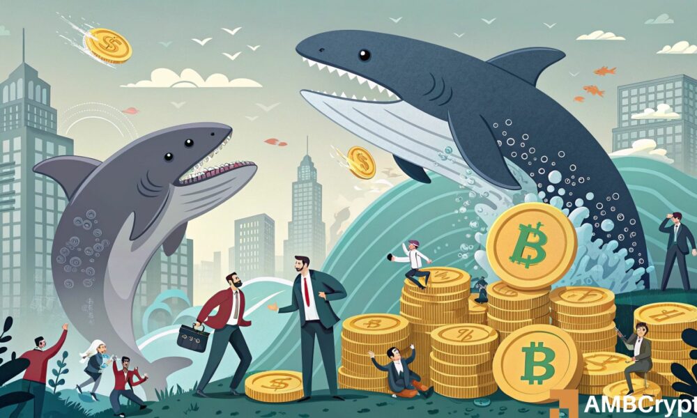 How Bitcoin's whales and sharks can take advantage of 'oversensitive' retailers