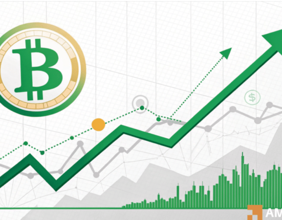 Predicting Bitcoin's next move: Is a short-term rally in sight?