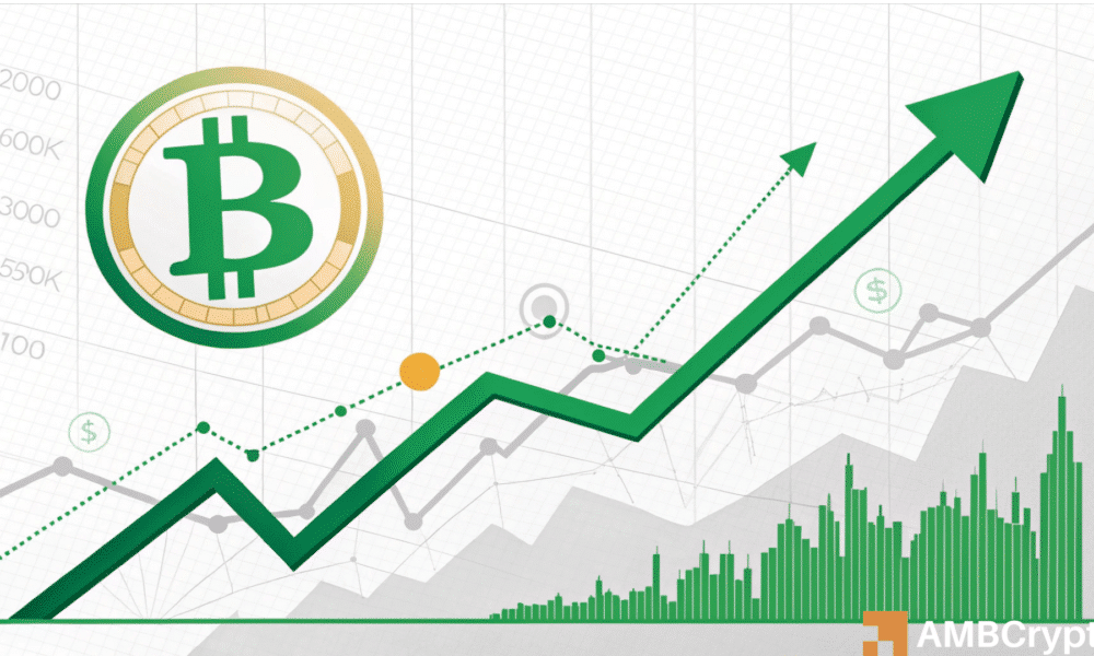 Predicting Bitcoin's next move: Is a short-term rally in sight?