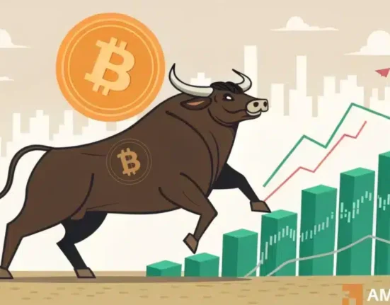 Will 2025 be another bullish year for Bitcoin? - This analyst believes...