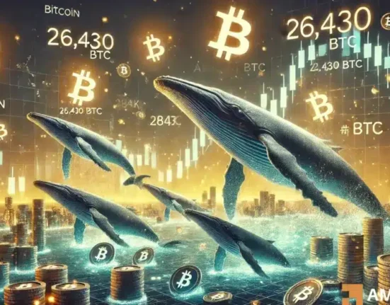 Will BTC whales save Bitcoin as the market dives into 'extreme fear' zone?