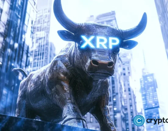 XRP Ledger Ecosystem leads crypto market gains, SOLO surges