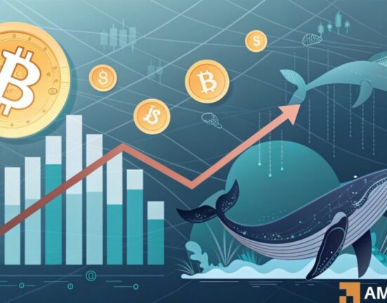 Bitcoin whale holdings drop to 6-year low: What it means for BTC