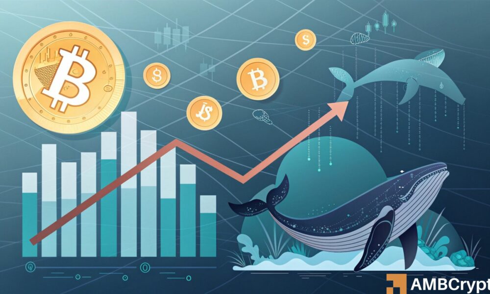 Bitcoin whale holdings drop to 6-year low: What it means for BTC