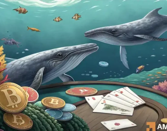 Hyperliquid whales short Bitcoin as institutional investors keep buying - Explained