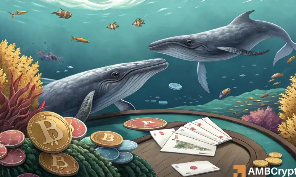 Hyperliquid whales short Bitcoin as institutional investors keep buying - Explained